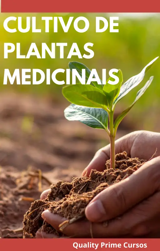 No momento, você está visualizando Cultivando Plantas Medicinais