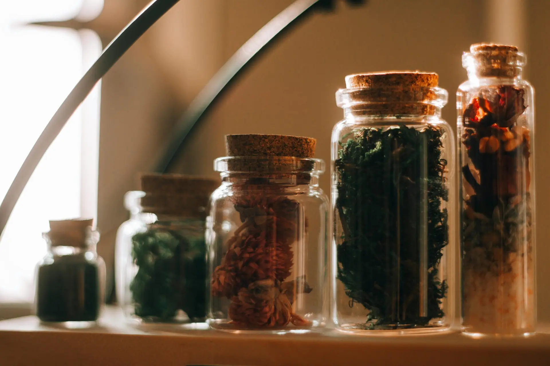 No momento, você está visualizando 10 Ervas Medicinais que Você Pode Cultivar em Casa para Saúde e Bem-Estar